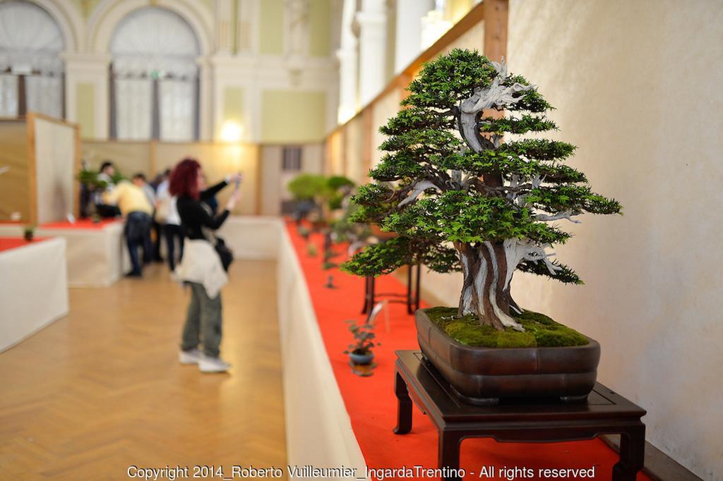 Albergo Ristorante Da Neni Mori Exteriér fotografie